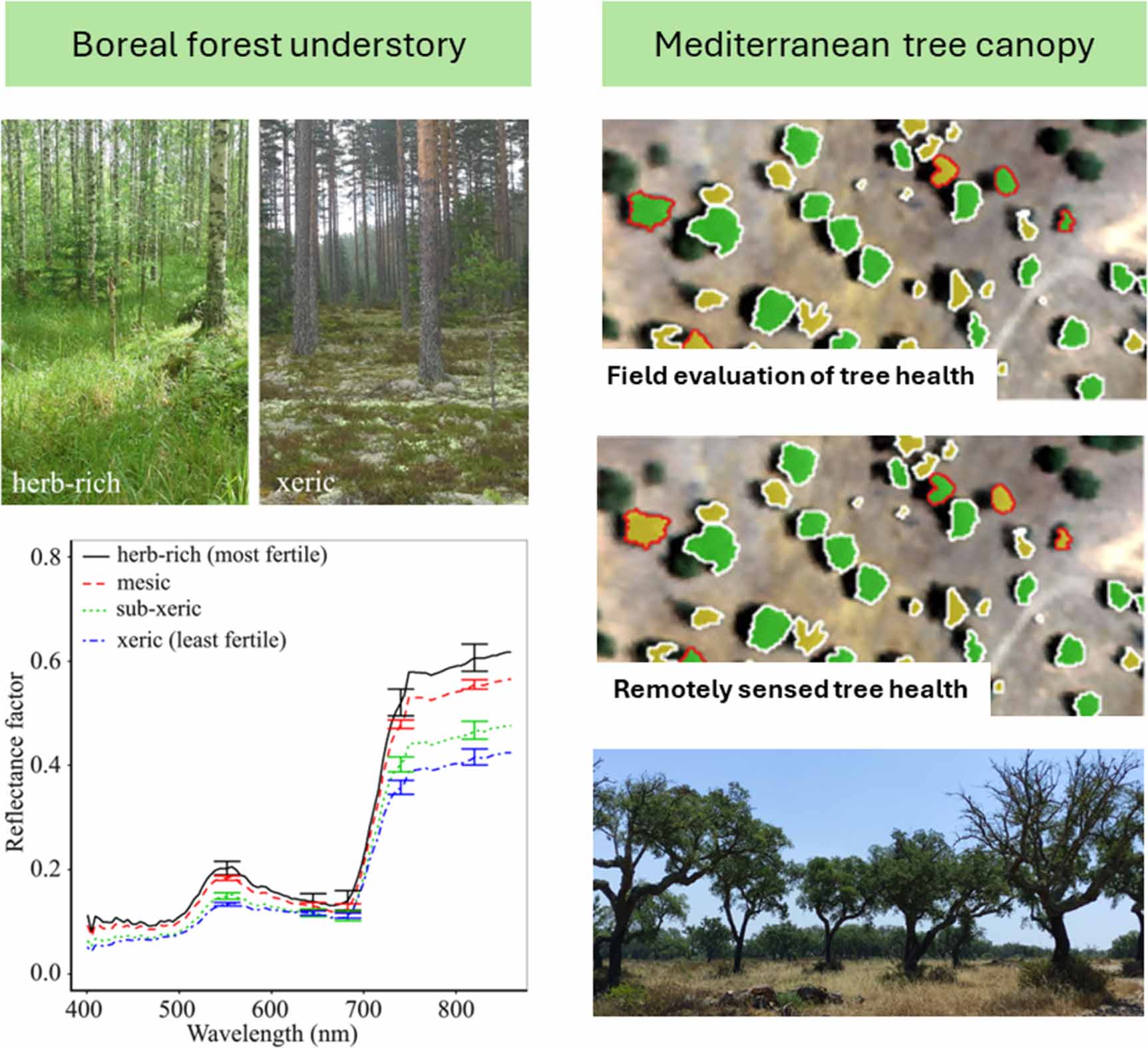 Next-generation hyperspectral remote sensing of forest health - IOPscience