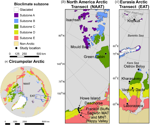 Dynamics of aboveground phytomass of the circumpolar Arctic tundra ...