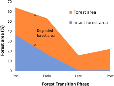 An assessment of deforestation and forest degradation drivers in ...