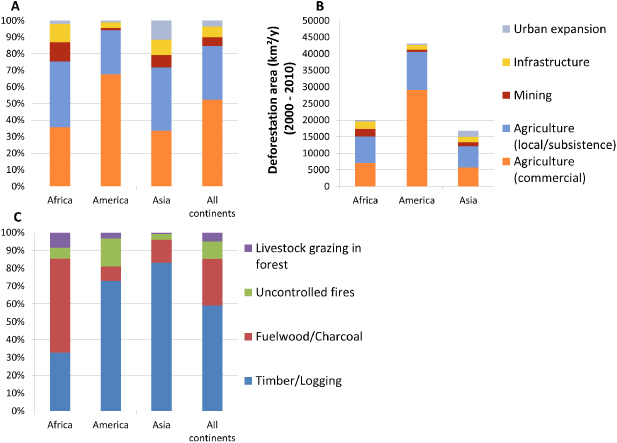 An assessment of deforestation and forest degradation drivers in ...