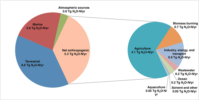 Figure 1. Refer to the following caption and surrounding text.
