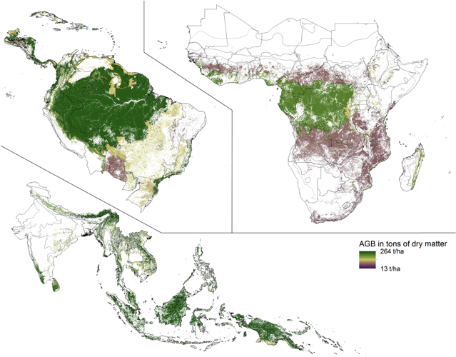 Figure 4. Refer to the following caption and surrounding text.