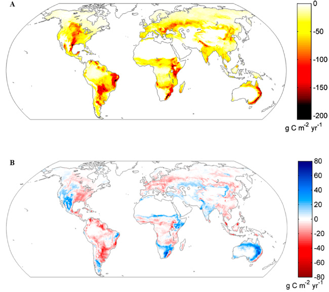 A few extreme events dominate global interannual variability in gross ...