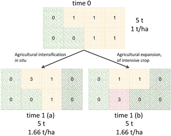 Multiple pathways of commodity crop expansion in tropical forest ...