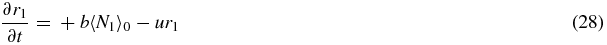 Equation (28)