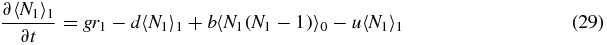 Equation (29)