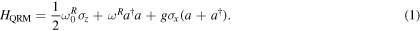 Equation (1)