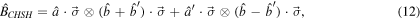 Equation (12)