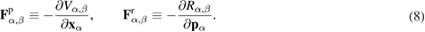 Equation (8)
