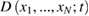 $ D \left (x_{1}, ..., x_{N}; t \right) $