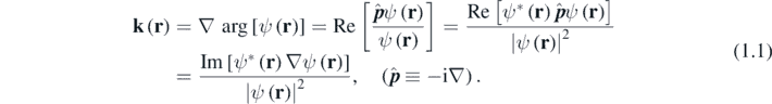 Equation (1.1)