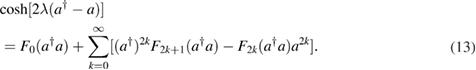 Equation (13)
