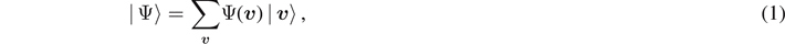 Equation (1)