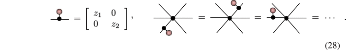 Equation (28)