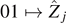 $01{\mapsto}{\hat{Z}}_{j}$