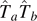 ${\hat{T}}_{a}{\hat{T}}_{b}$