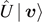 $\hat{U}\left\vert \enspace \boldsymbol{v}\right\rangle $