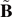 $~{\mathbf{B}}$