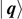 $\left\vert \enspace \boldsymbol{q}\right\rangle $