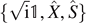 $\left\{\sqrt{\mathrm{i}}\mathbb{1},\hat{X},\hat{S}\right\}$