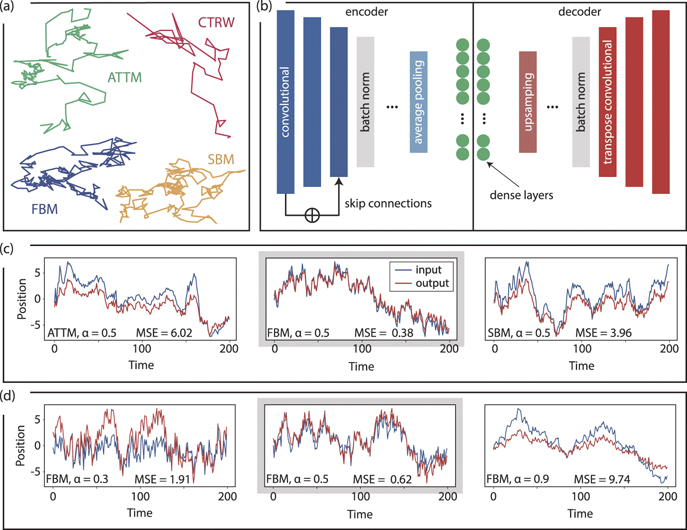 Unsupervised learning of anomalous diffusion data: an anomaly detection ...