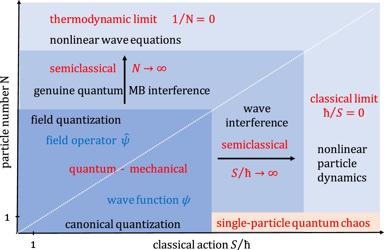 Semiclassical roots of universality in many-body quantum chaos - IOPscience