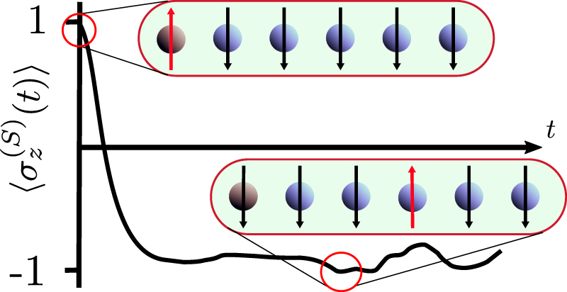 Quantum dynamics in a single excitation subspace: deviations from ...