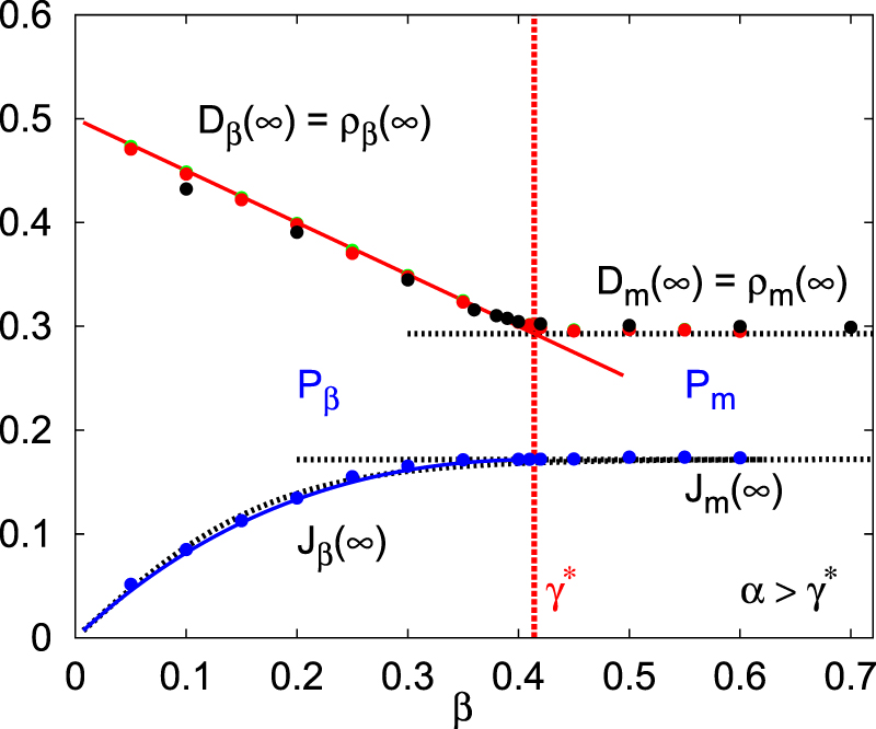 Phase transitions in the driven lattice gas (TASEP) with repulsive ...