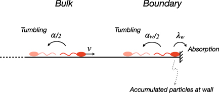 Figure 1. Refer to the following caption and surrounding text.