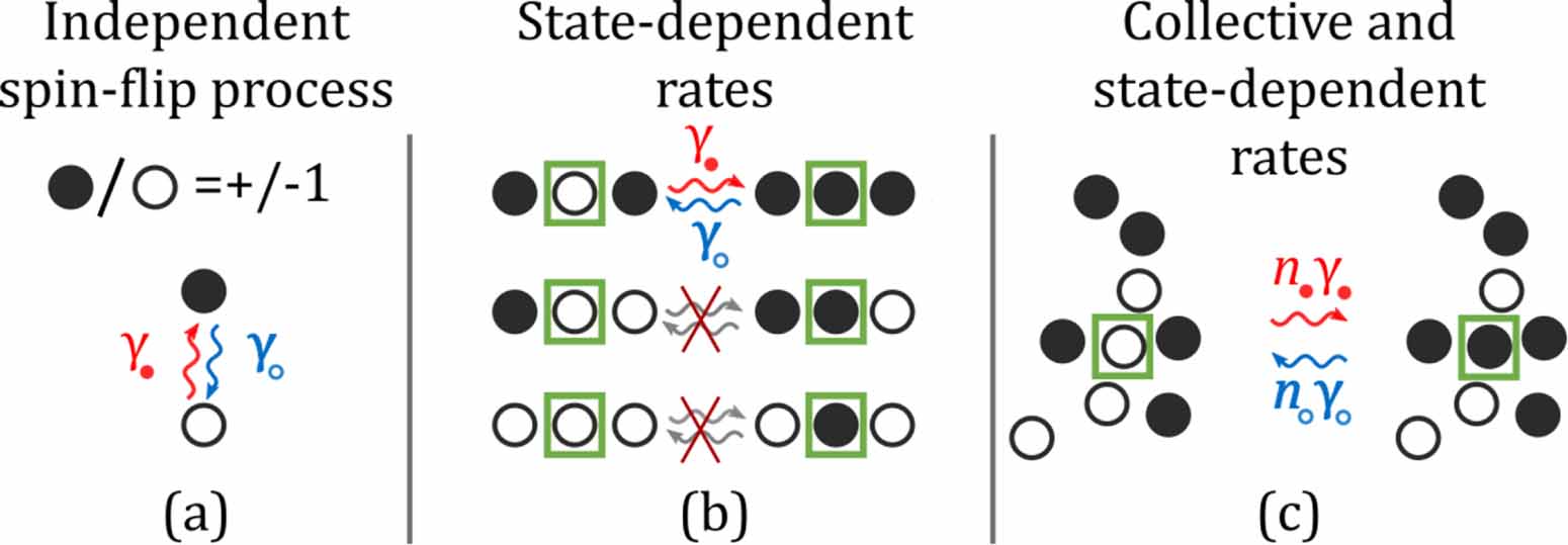 Quantum fluctuation dynamics of open quantum systems with collective ...
