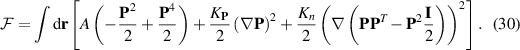 Equation (30)