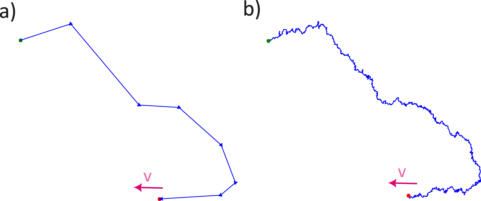 The interplay of polar and nematic order in active matter: implications ...