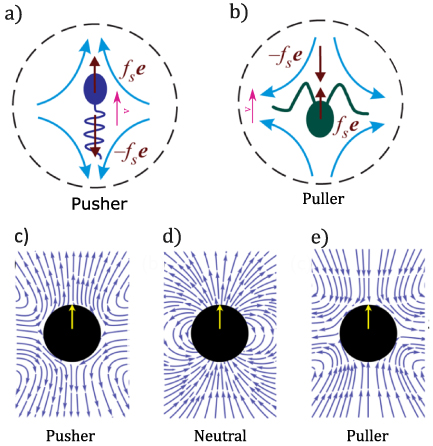 Figure 2. Refer to the following caption and surrounding text.