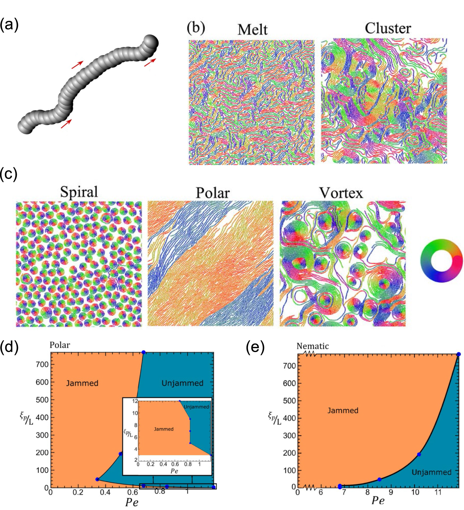 The interplay of polar and nematic order in active matter: implications ...
