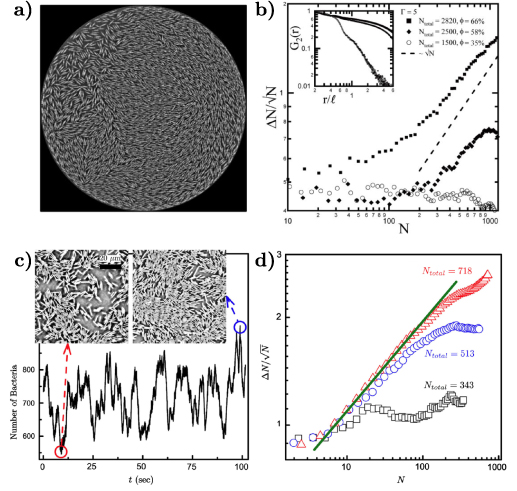 Figure 7. Refer to the following caption and surrounding text.