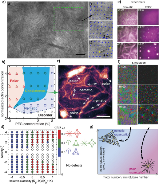 Figure 9. Refer to the following caption and surrounding text.