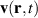 $\mathbf{v}(\mathbf{r},t)$