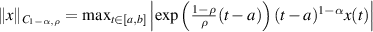 $\|x\|_{C_{1-\alpha,\rho}} = \max_{t\in[a,b]}\left|\exp\left(\frac{ 1-\rho}{\rho}(t-a)\right)(t-a)^{1-\alpha}x(t)\right|$