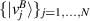 $\{| v_j^B \rangle \}_{j = 1,\dots,N}$