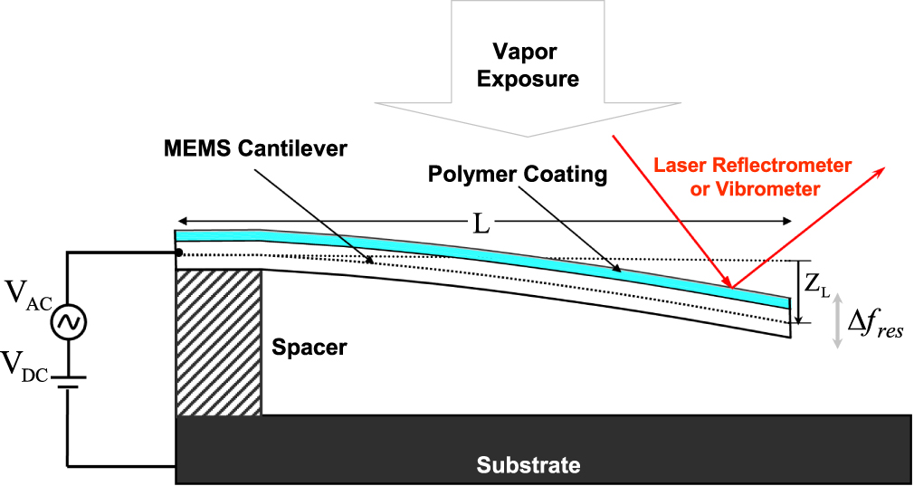 MEMS sensor array-based electronic nose for breath analysis—a ...