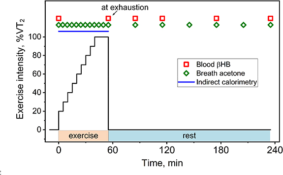 Breath acetone change during aerobic exercise is moderated by ...