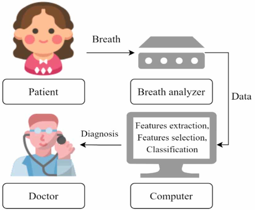 Review of the algorithms used in exhaled breath analysis for the ...
