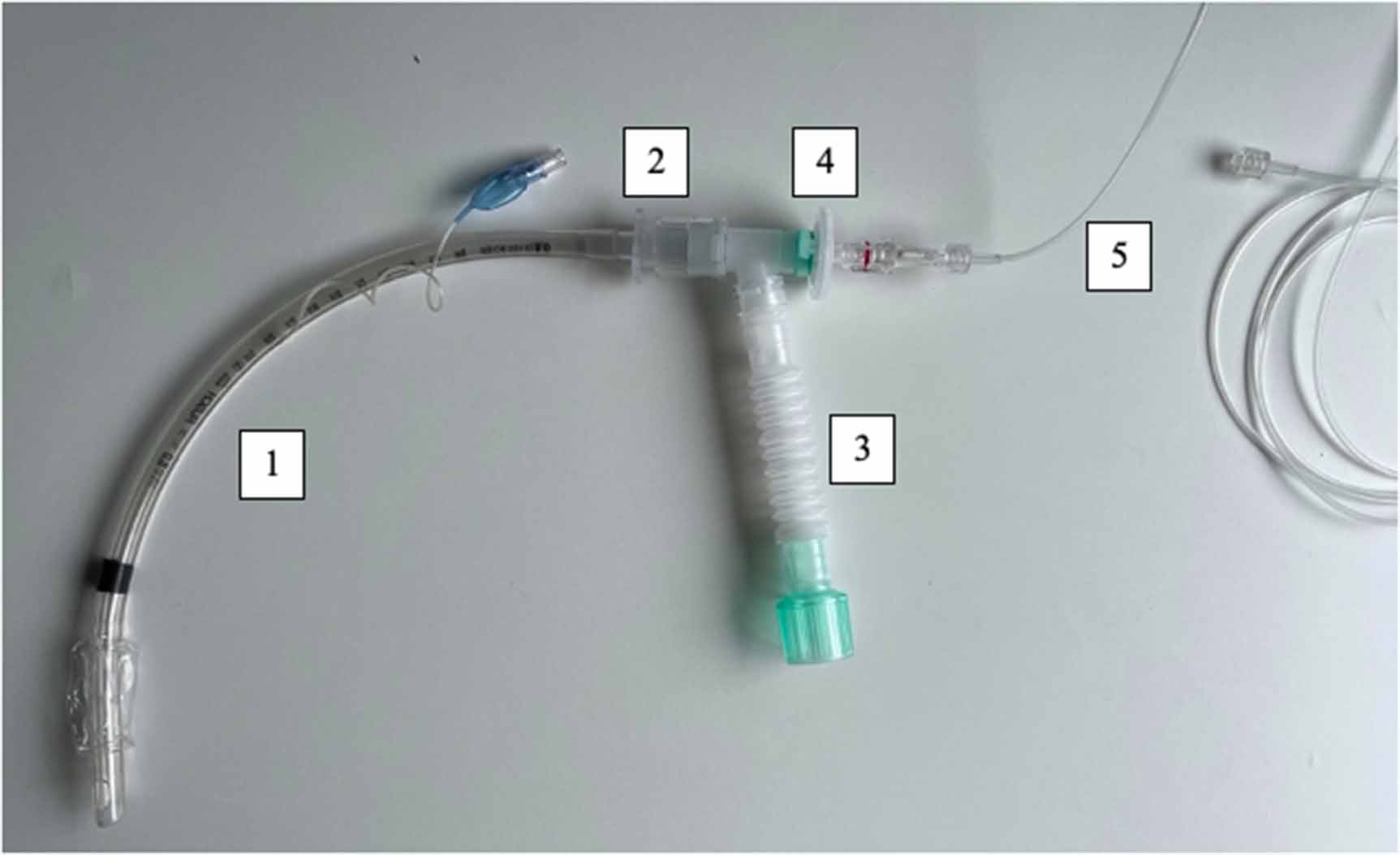 Exhaled nitric oxide in intubated ICU patients on mechanical