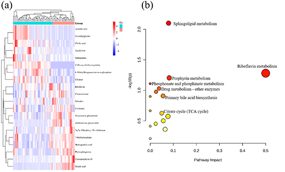 Combining untargeted and targeted metabolomics to identify diagnostic ...