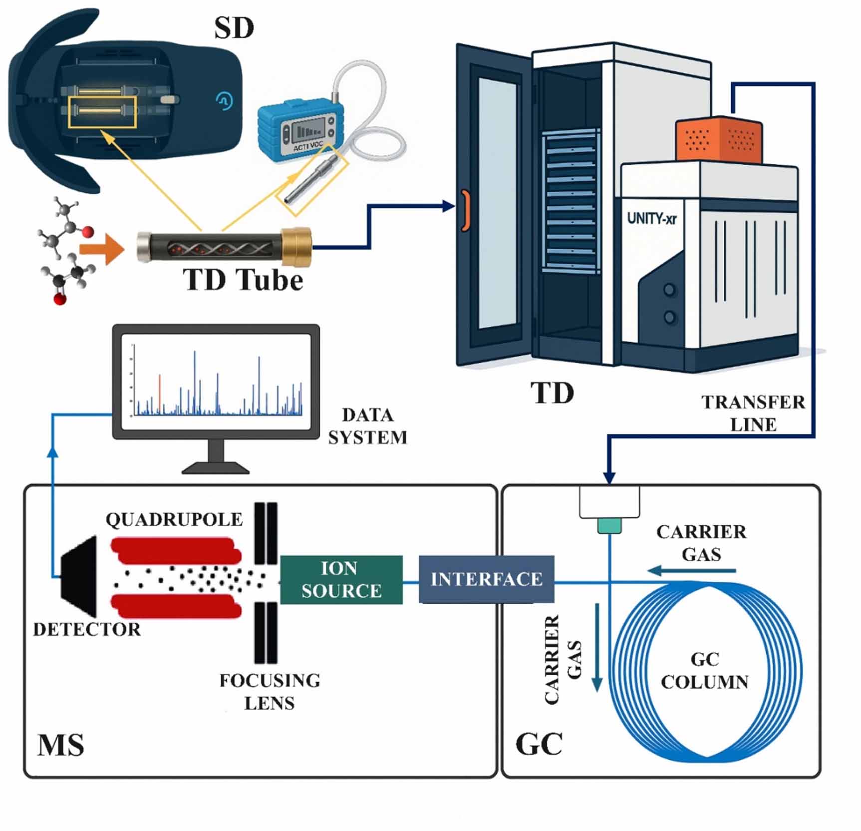 Wavelet-enhanced TD–GC–MS analysis of molecular pattern alterations in ...
