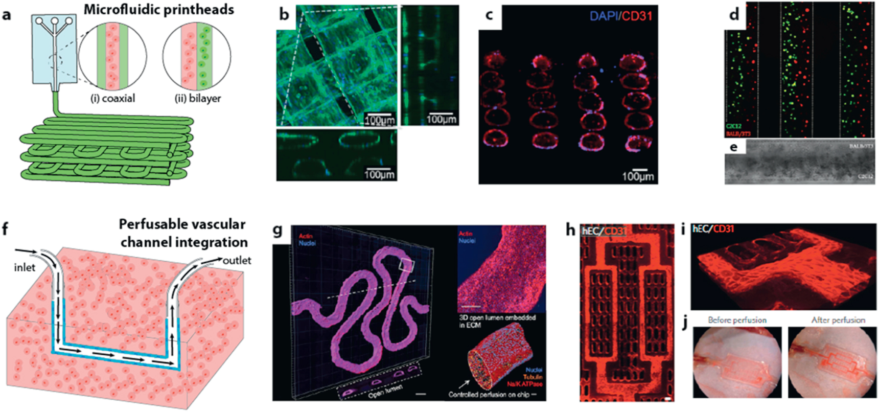 Bottom-up biofabrication using microfluidic techniques - IOPscience