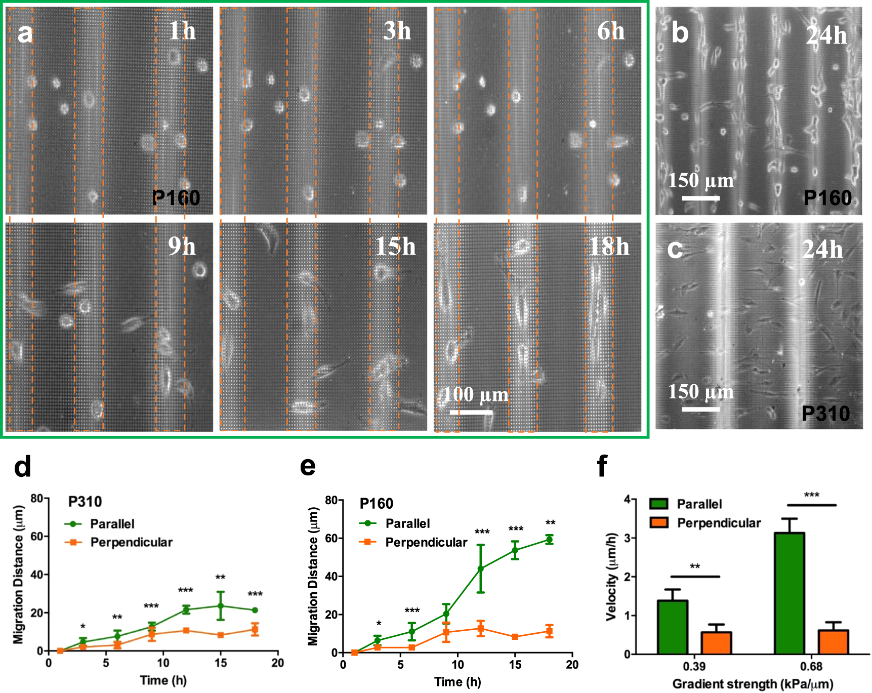 Fabrication of elastomer pillar arrays with elasticity gradient for ...
