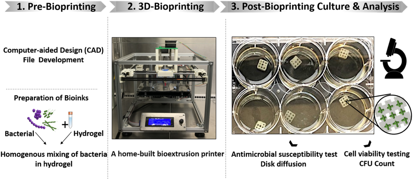 3D bioprinting of mature bacterial biofilms for antimicrobial ...