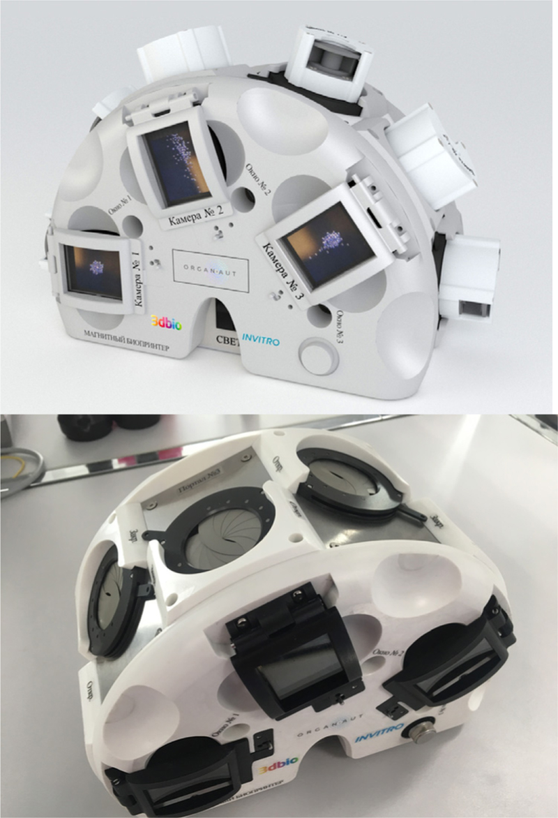洋書 Cell and Organ Printing 3D Tissue and Organ Printing—Hope and Reality - Shapira