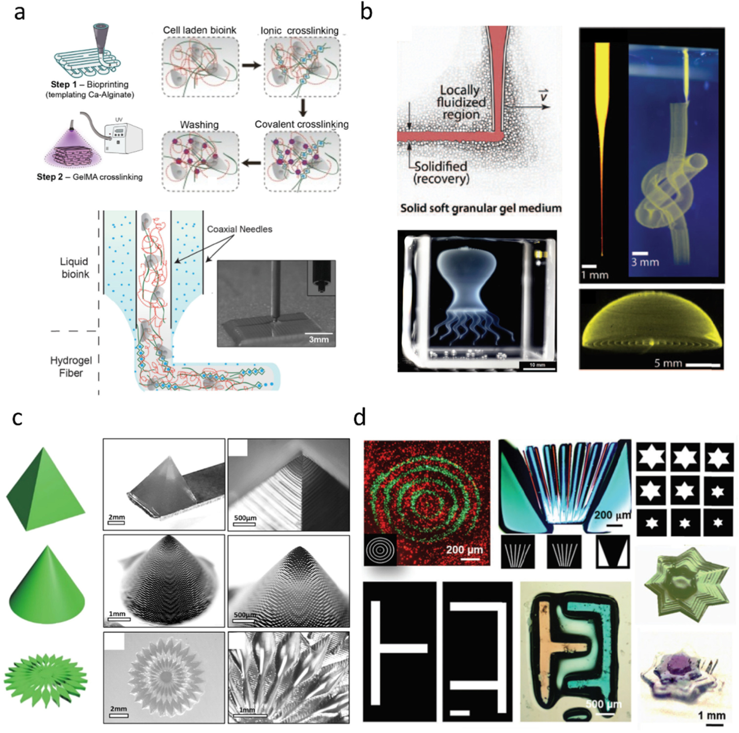 The bioprinting roadmap - IOPscience